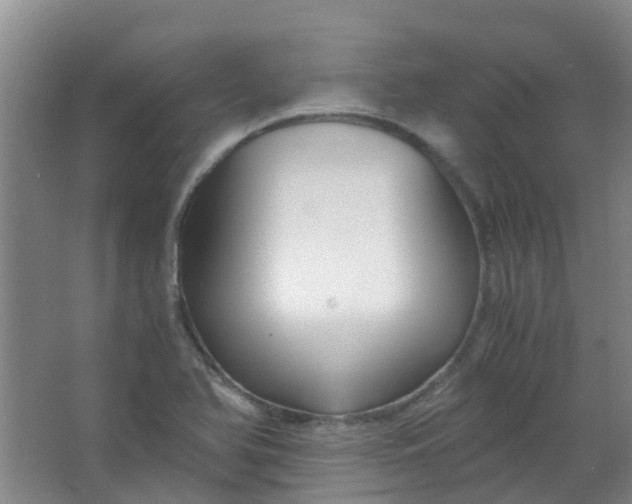 X0000063521366200602032059