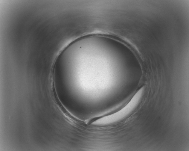 X0000063521367200602032059