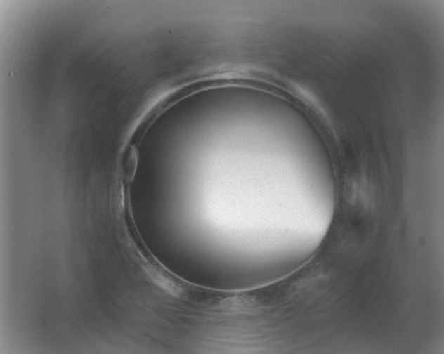 X0000063521368200602032059