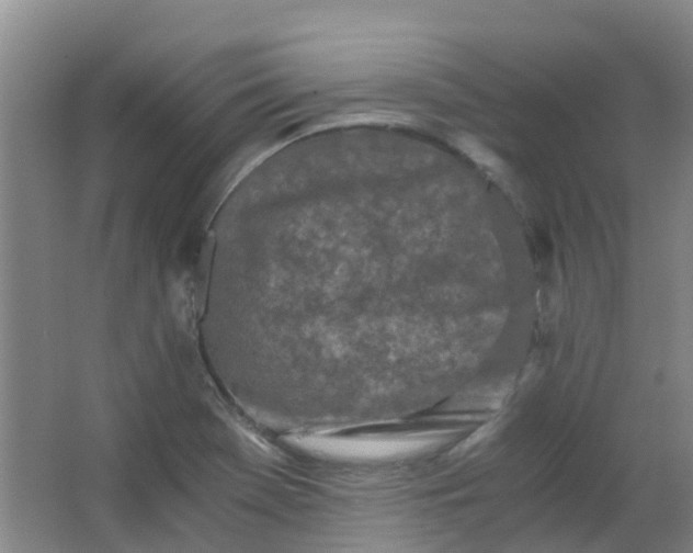 X0000063521369200602032059