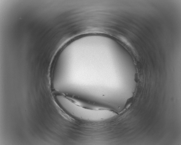 X0000063521372200602032059