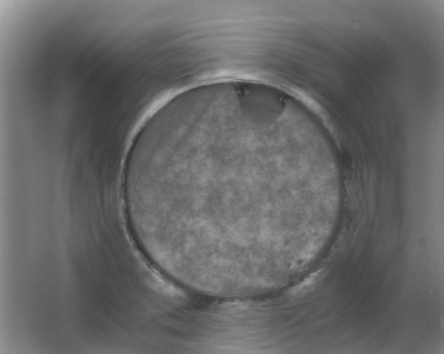 X0000063521373200602032059