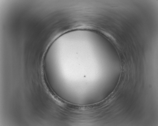 X0000063521375200602032059