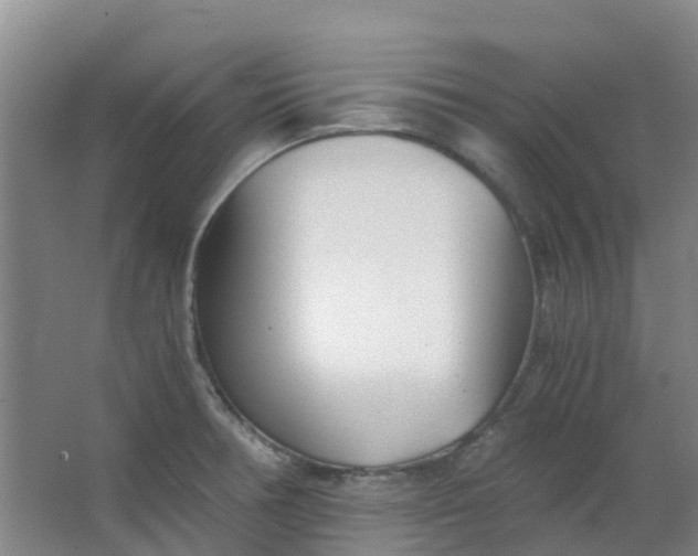 X0000063521378200602032059