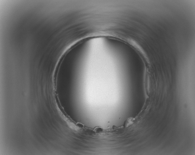 X0000063521380200602032059