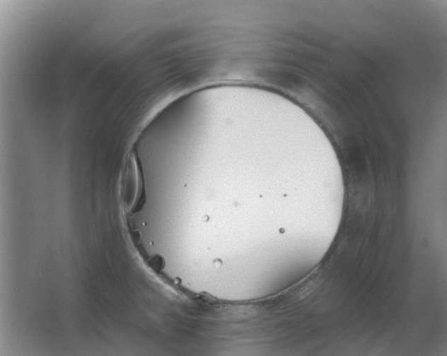 X0000063521382200602032059