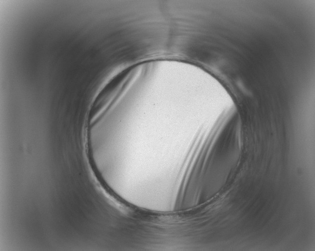 X0000063521383200602032059