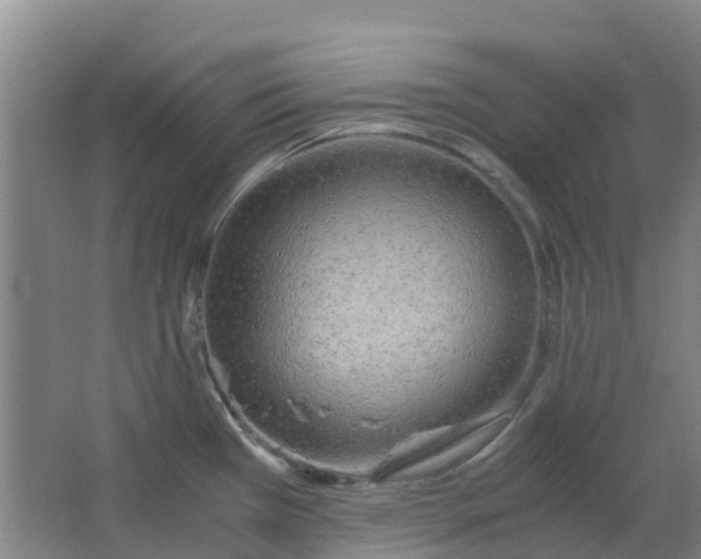 X0000063521385200602032059