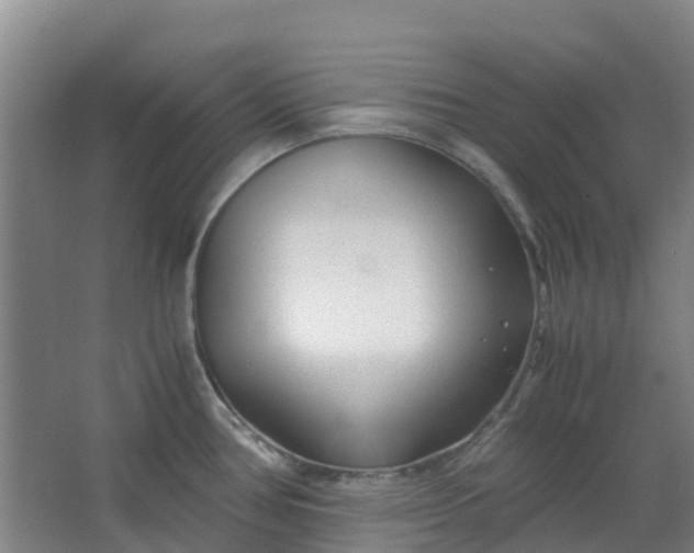 X0000063521386200602032059