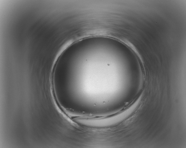 X0000063521389200602032058