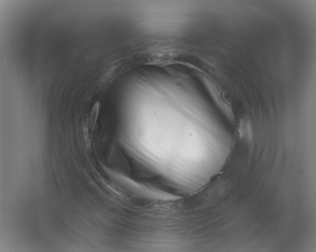 X0000063521396200602032058