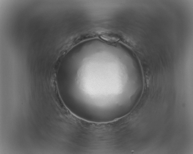 X0000063521397200602032058