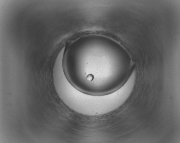 X0000063521398200602032058