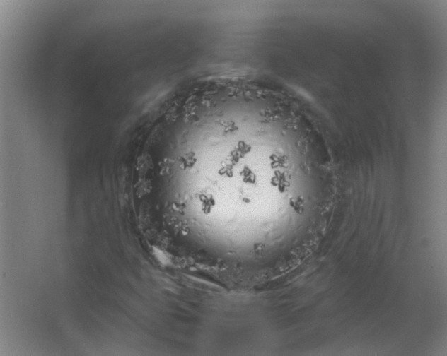 X0000063521399200602032058