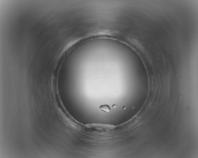 X0000063521404200602032058