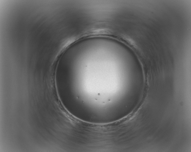 X0000063521405200602032058