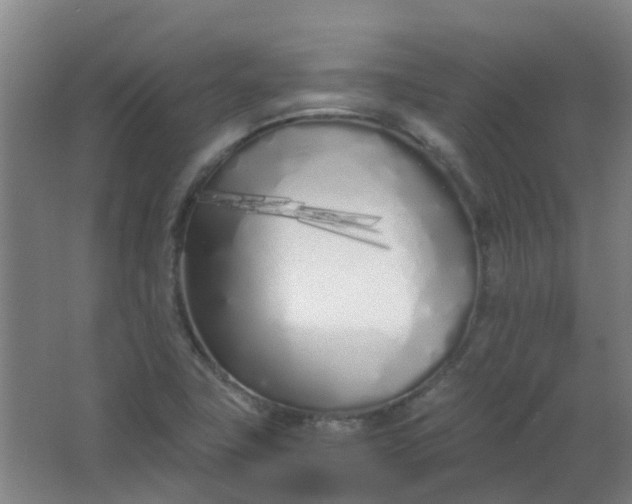 X0000063521411200602032058