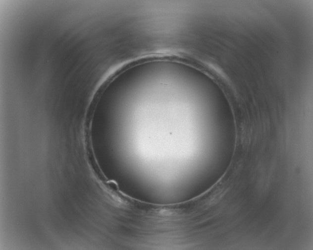 X0000063521412200602032058