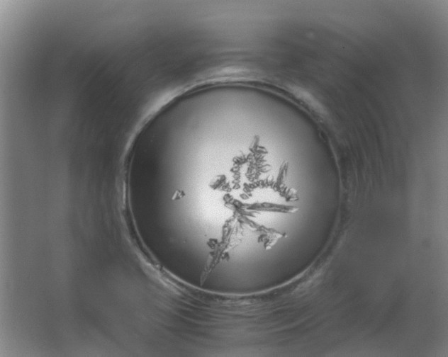 X0000063521413200602032058