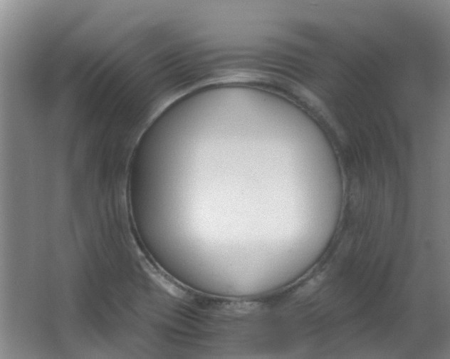 X0000063521417200602032058