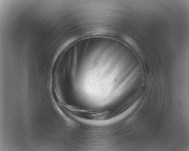 X0000063521418200602032058