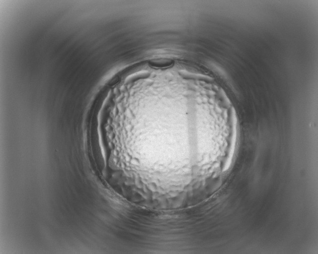 X0000063521419200602032058