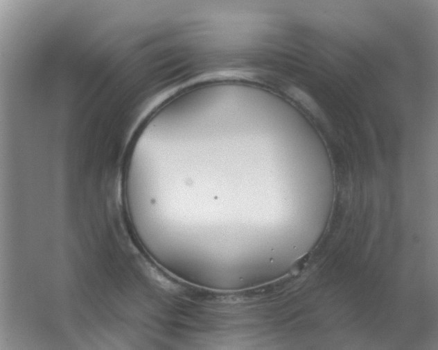 X0000063521420200602032058