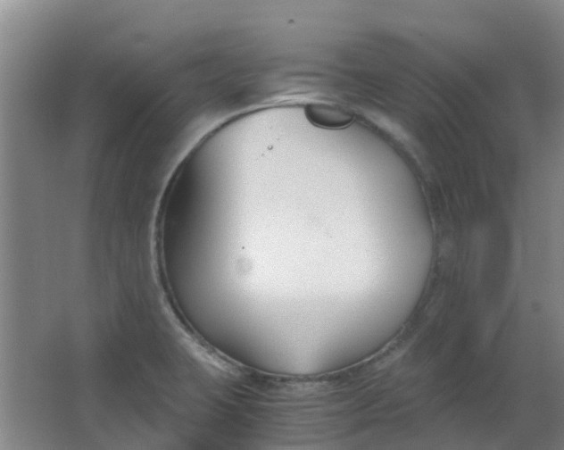 X0000063521423200602032058