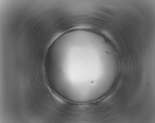 X0000063521425200602032058