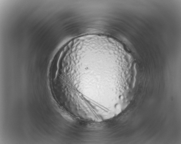 X0000063521427200602032058