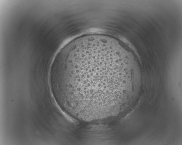 X0000063521429200602032058