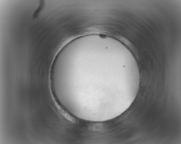 X0000063521431200602032058