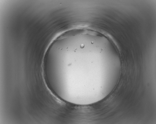 X0000063521432200602032058