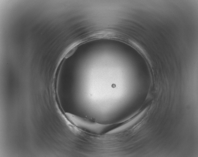 X0000063521434200602032058