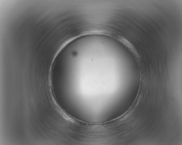 X0000063521436200602032058