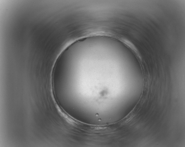 X0000063521439200602032058