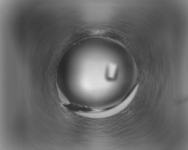 X0000063521441200602032058