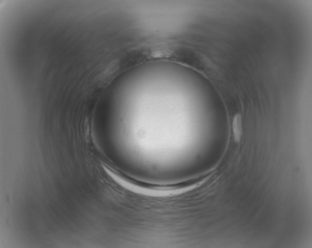 X0000063521443200602032058