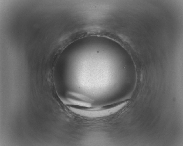 X0000063521445200602032058