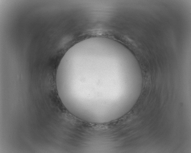 X0000063521446200602032058