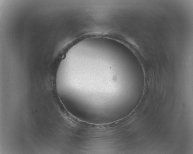 X0000063521448200602032057