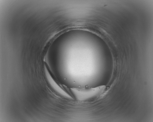 X0000063521449200602032057