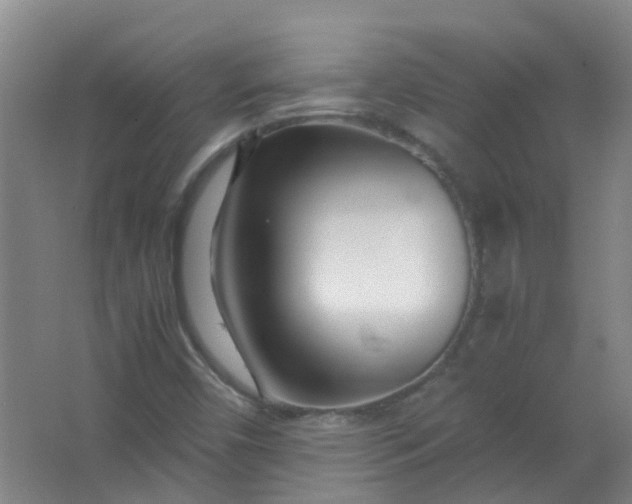 X0000063521450200602032057