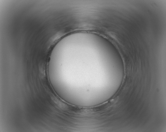 X0000063521451200602032057