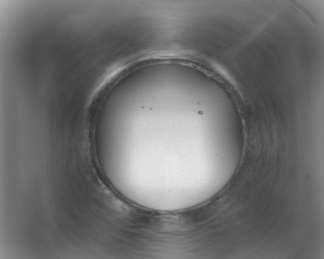 X0000063521456200602032057