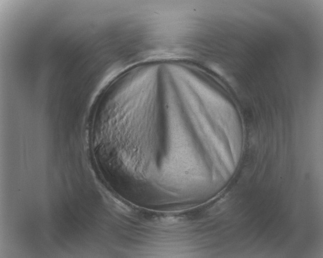 X0000063521459200602032057