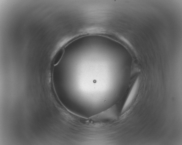 X0000063521461200602032057