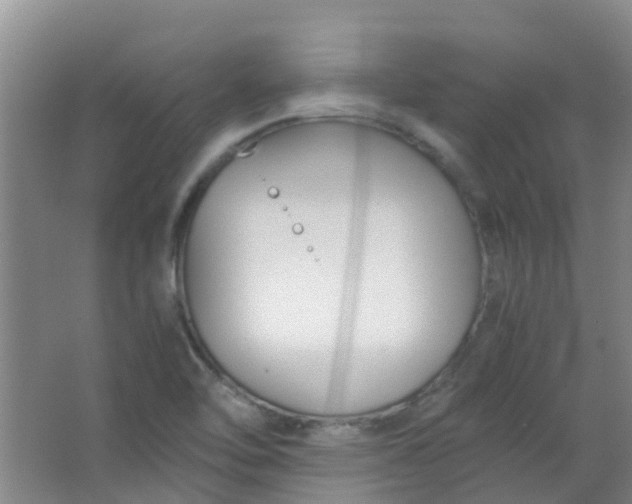 X0000063521462200602032057