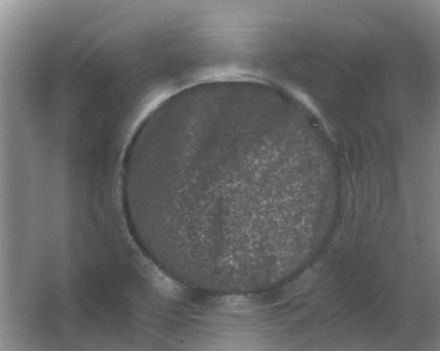 X0000063521463200602032057