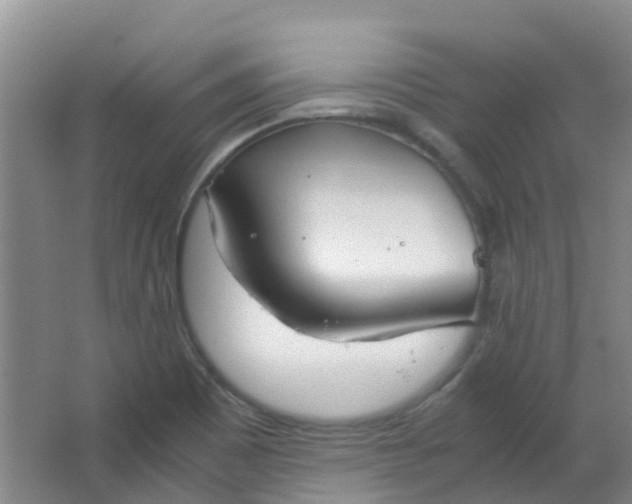 X0000063521465200602032057